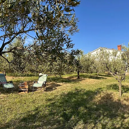 Apartmán Tina Spodnje Skofije