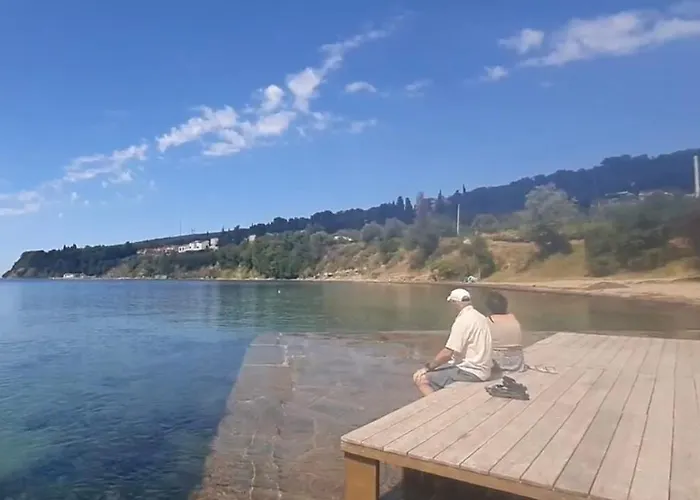 Tina * Spodnje Skofije