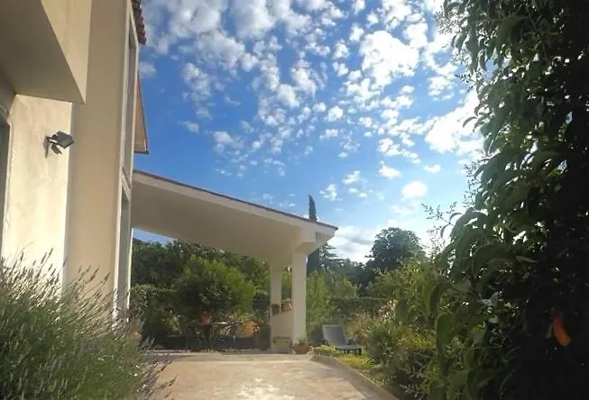 Tina * Spodnje Skofije