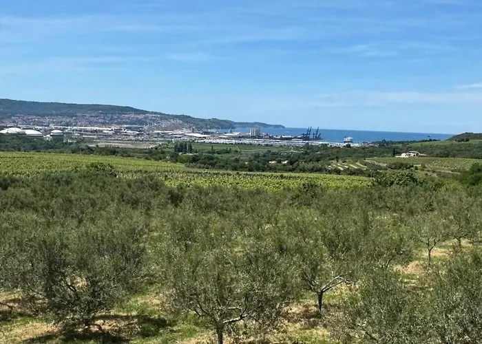 Tina * Spodnje Skofije