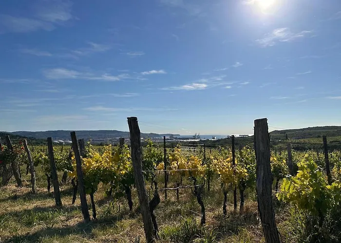 Tina 公寓 Spodnje Skofije