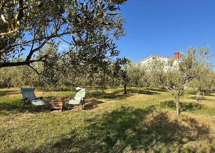 公寓 Tina Spodnje Skofije